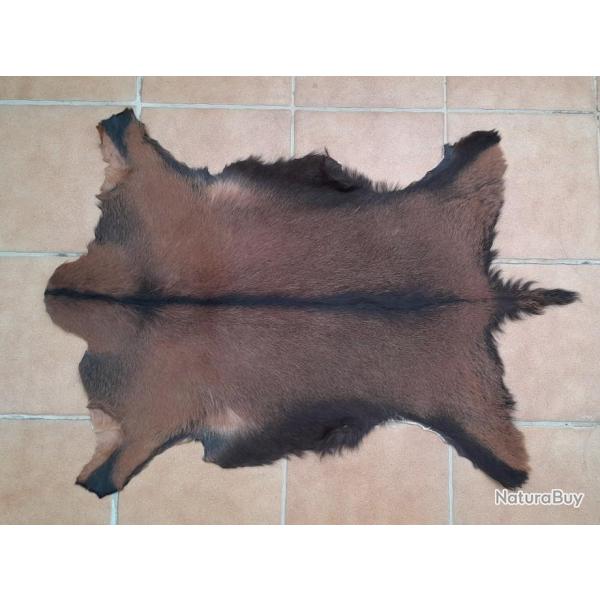 Peau de chevreau