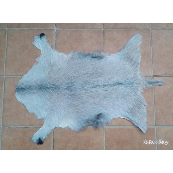 Peau de chevreau tanne  la main