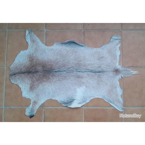 Peau de chevreau tannage artisanal
