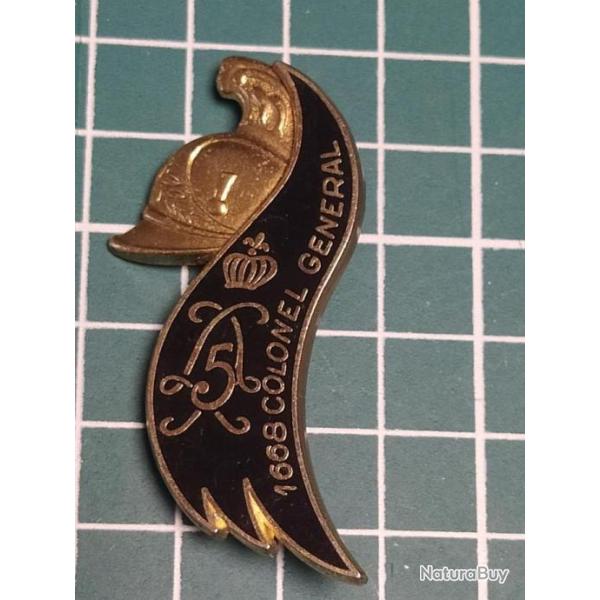 INSIGNE 5 EME DRAGONS, DELSART