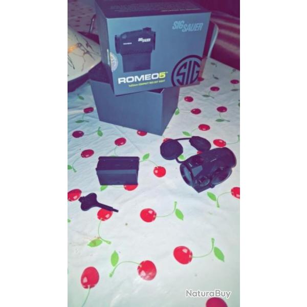 Point Rouge Sig Sauer Rom�o 5