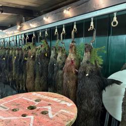 Action de chasse en Moselle 57