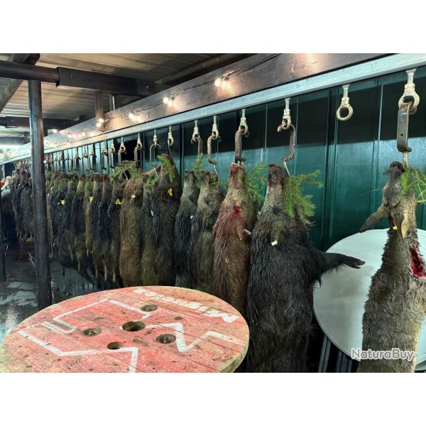 Action de chasse en Moselle 57