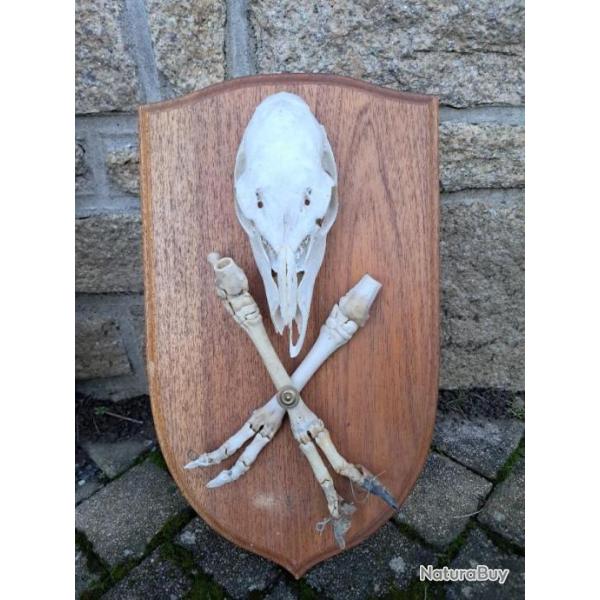 Crne et pattes de mouflonne sur cusson