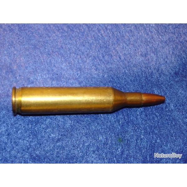 cartouche de 17 remington