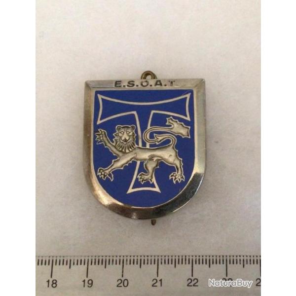 FRANCE TRANSMISSIONS-Insigne E.S.O.A.T Ecole Sous Officiers Active Trans faux N�