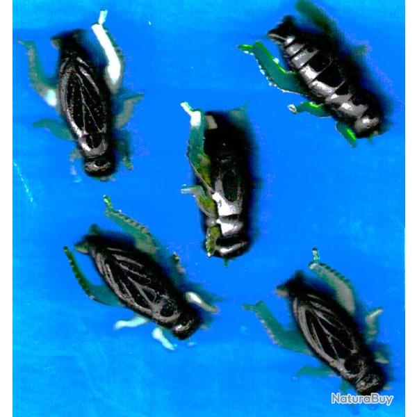 Criquet - Grillon en silicone -par 5 pices