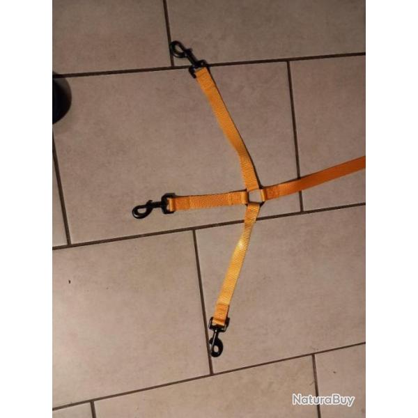 Laisse pour 3 chiens