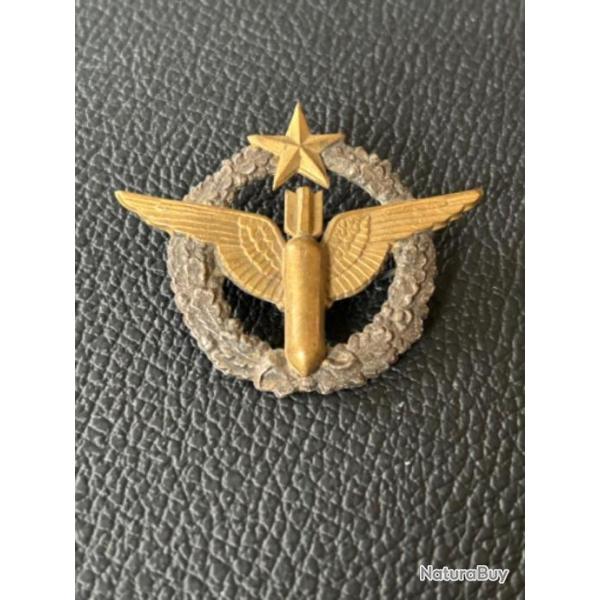 Brevet de pilote de bombardier