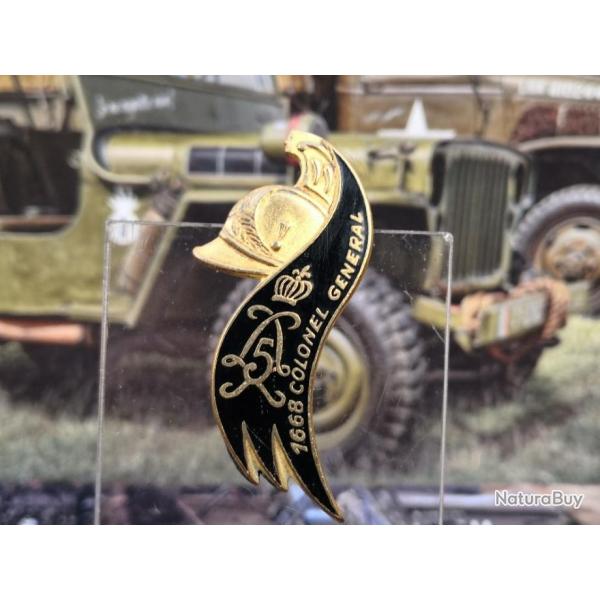 5� R�giment de Dragons  Drago Paris