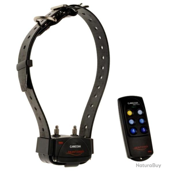 Kit Collier d'�ducation Canicom 200 First - 200m - NUM'AXES