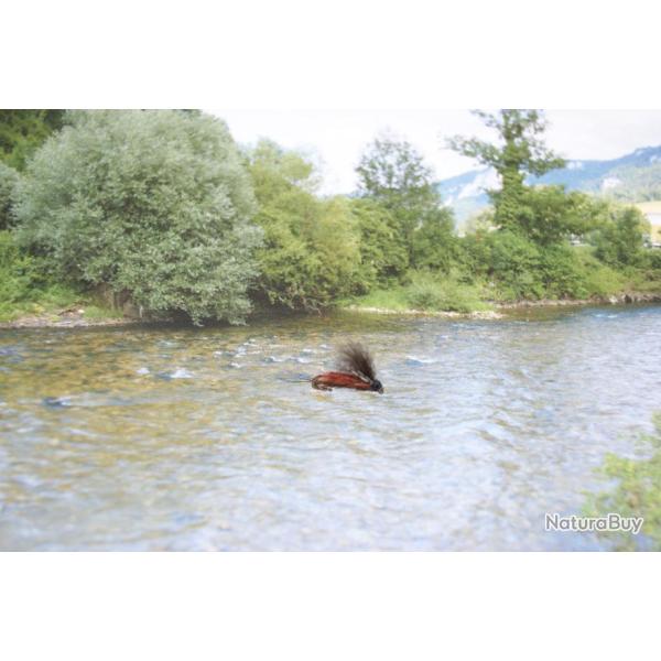 s�rie CDC brune  16