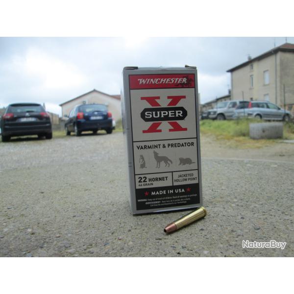 50 cartouches.22 HORNET Hollow Point 3g/46 gr de WINCHESTER