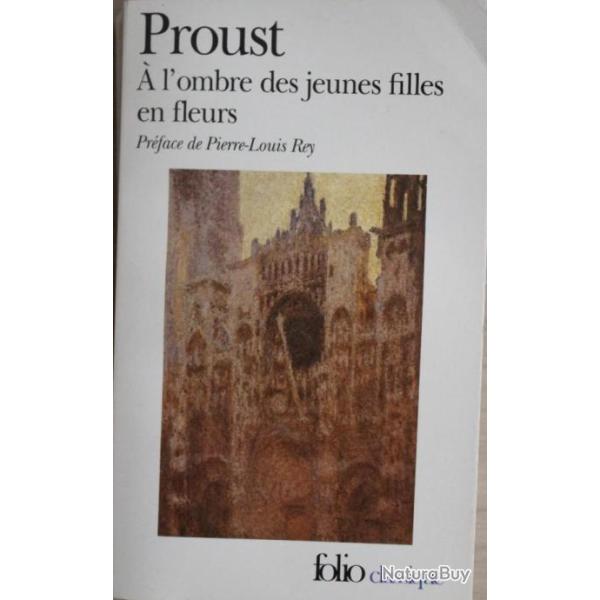 Roman A l'ombre des jeunes filles en fleurs de Proust