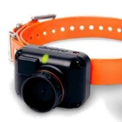 Dogtra collier suppl&eacute;mentaire beeper et dressage 2600 T&B Orange