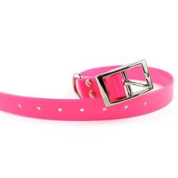 Garmin SportDog Dogtra sangle de rechange Biothane&reg; 2,5 x 60 cm colliers vert fonc&eacute;