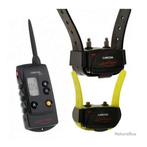 Canicom 800 pack 2 colliers de dressage