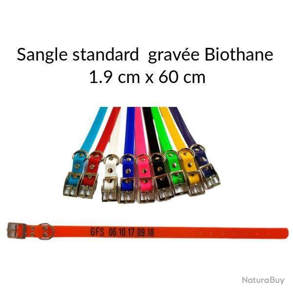 Garmin SportDog Dogtra sangle grav�e standard Biothane� 1.9 x 60 cm Orange