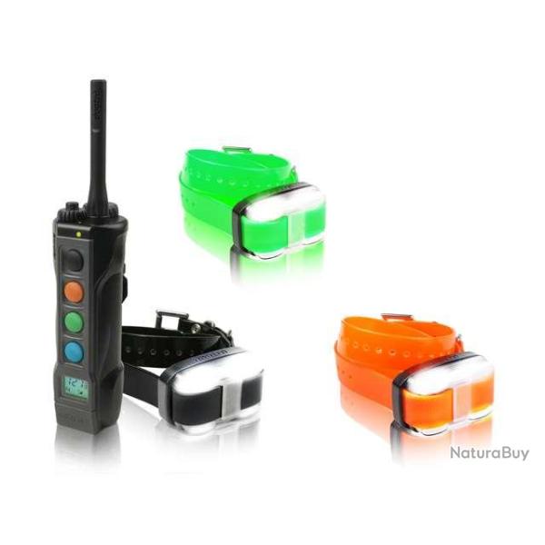 Dogtra 4503 Edge ensemble dressage 3 chiens