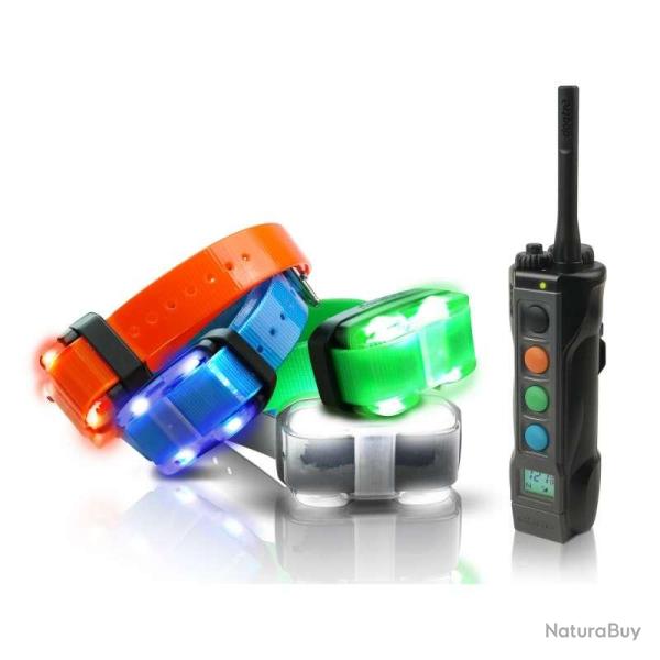 Dogtra 4504 Edge ensemble dressage 4 chiens