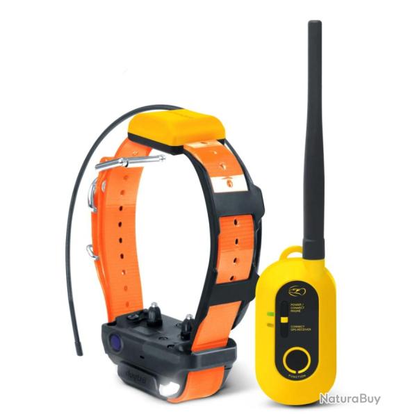 Dogtra Pathfinder ensemble GPS 2 rep�rage et dressage