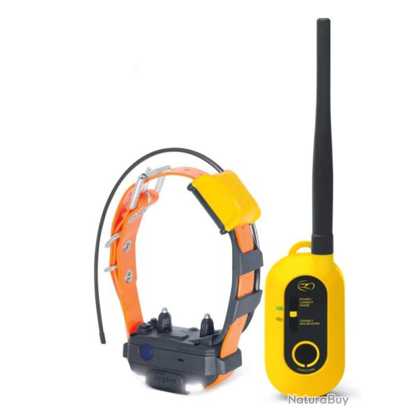 Dogtra Pathfinder 2 mini ensemble GPS rep�rage et dressage