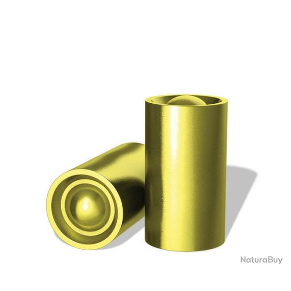 Ogives H&N Sport Gold STD WC - X500 - 38/355