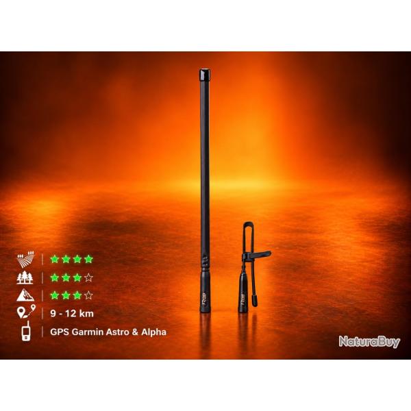 Antenne IBIZA V3 Flexible