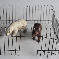 Ours Zoo Elastolin Hausser composition Jouet