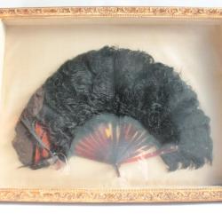 Éventail Plumes d'autruche XIXe siècle
