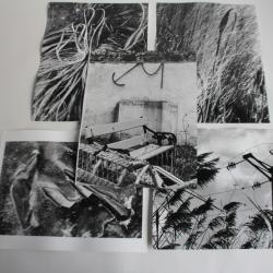 Lot 5 Photographies d'art JAN NEUMAN nature morte