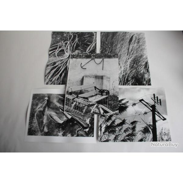 Lot 5 Photographies d'art JAN NEUMAN nature morte