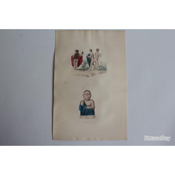 Gravure BUFFON Monstres XIXe si�cle