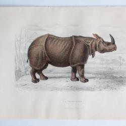 Gravure BUFFON Le Rhinoc&eacute;ros XIXe si&egrave;cle