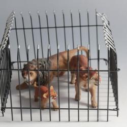 Lions Félins Zoo Elastolin Hausser composition Jouet