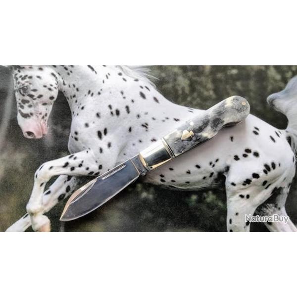 RR2486 Couteau Rough Ryder Appaloosa Easy Open Lame Acier 440 Manche Os