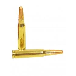 Munitions SOLOGNE calibre 300 WSM 180gr - 11.7g x20