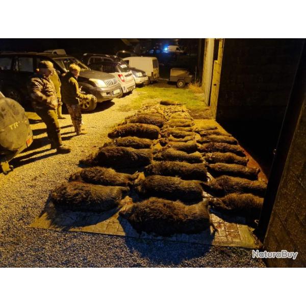 Action de chasse en for�t domaniale de Saint-Michel 02