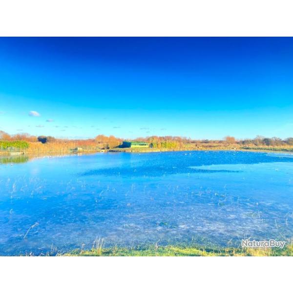 Hutte de chasse proche Berck (62)