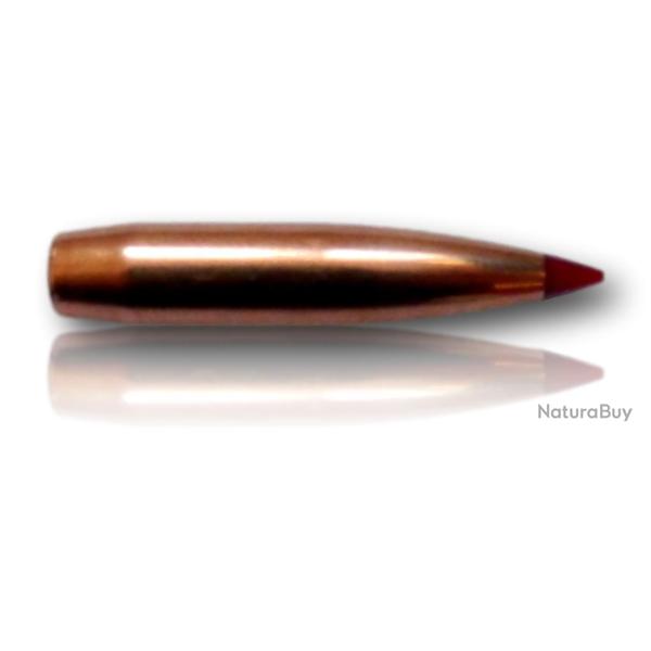OGIVE HORNADY CAL 6MM 243 ELD-X 103GR BTE 100 24550