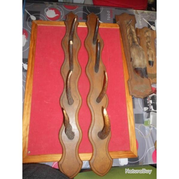 pat�res cornes bois divers , pieds d'honneur � plaque nominative vierge , paire  supports fusils lot