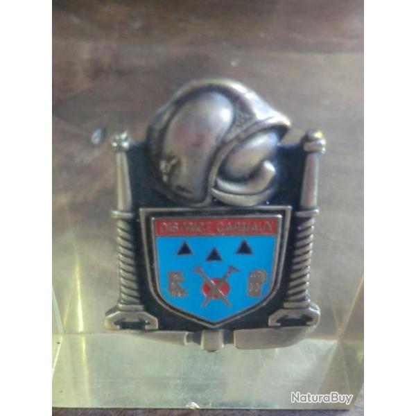 inclusion  insigne sapeur pompiers