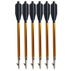 6 Traits de p&ecirc;che pour arbal&egrave;te 50-80 lbs