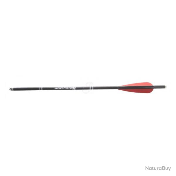 Pack 10 traits Carbone 17 pouces