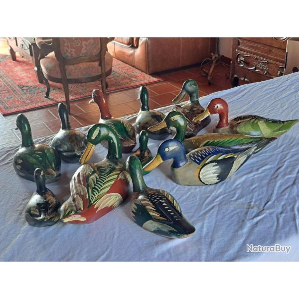 Art animalier, canards, appelants muets, blettes, formes, en decoration