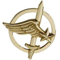 Insigne de b&eacute;ret commando de l'air