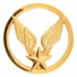 INSIGNE DE BERET ALAT