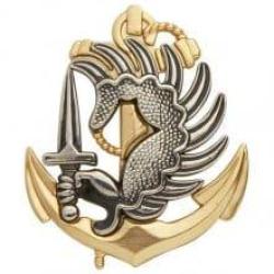 INSIGNE BERET PARACHUTISTE COLONIAL