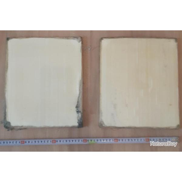 2 Plaques balistiques aramide