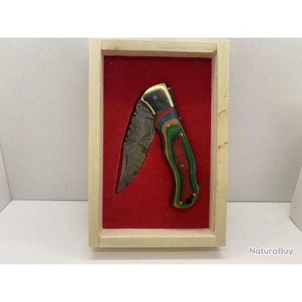 Couteaux de poche Ergo manche multicolore et lame damas.